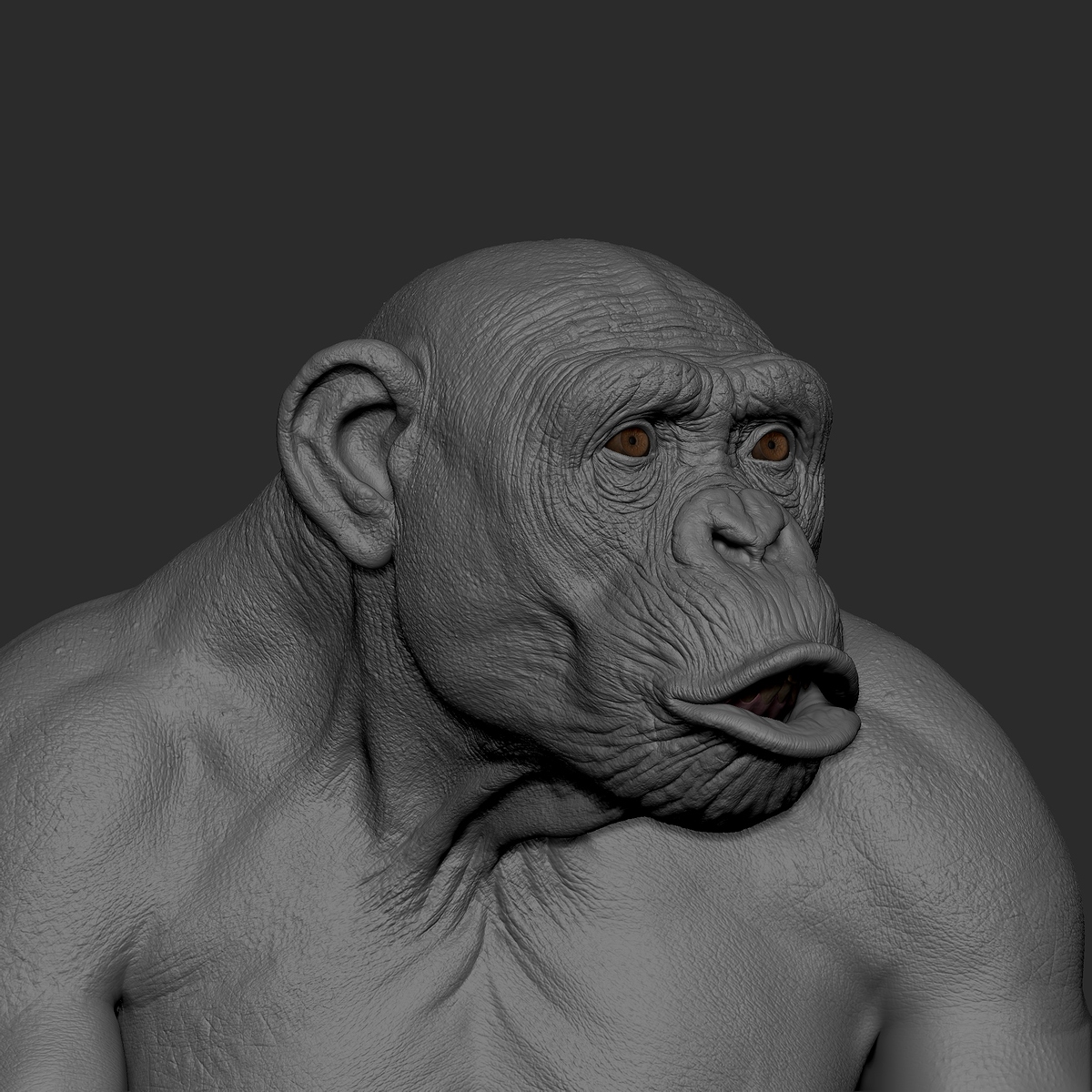 ZBrush_1003
