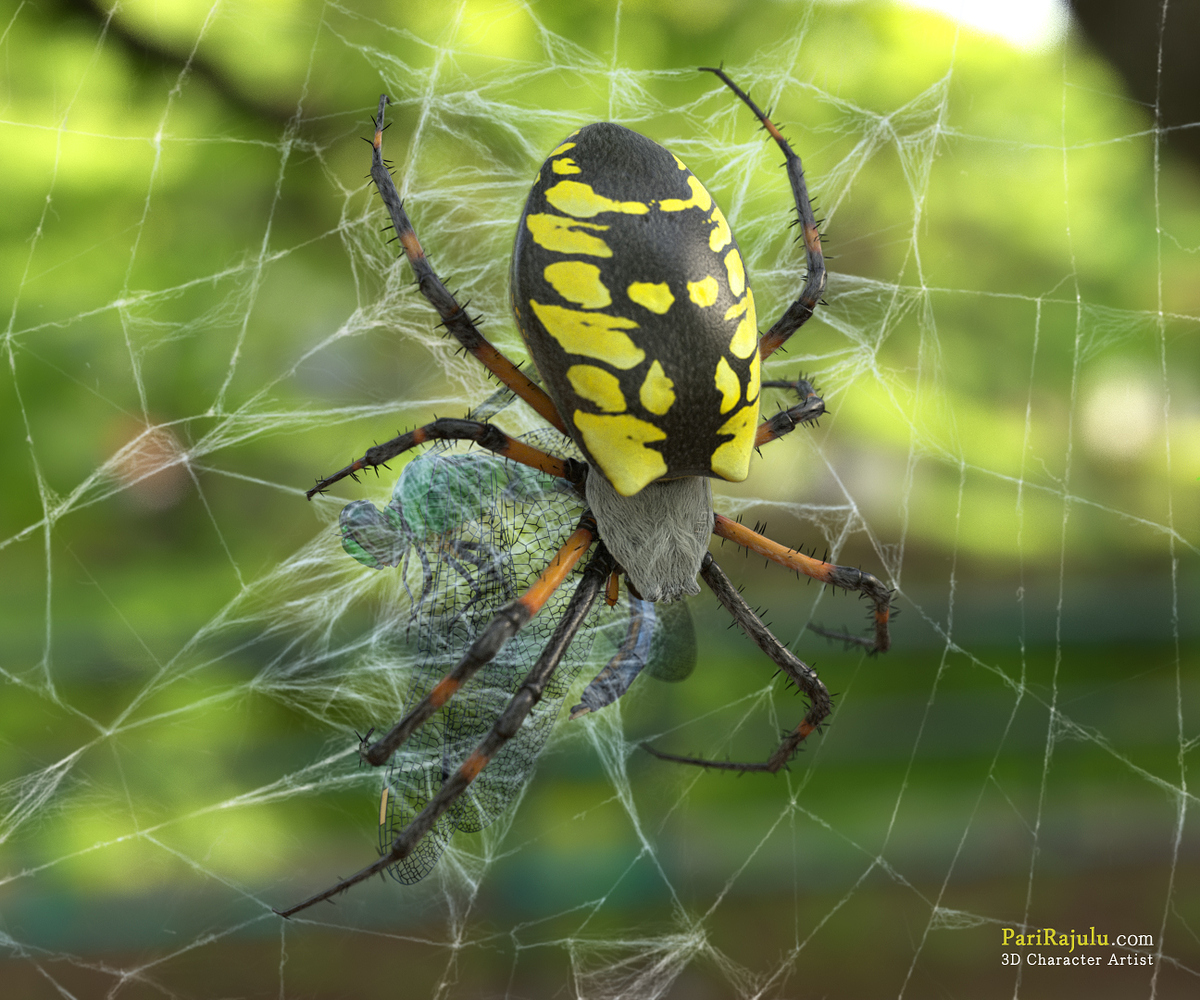 BonAppetit_Showcase_2020