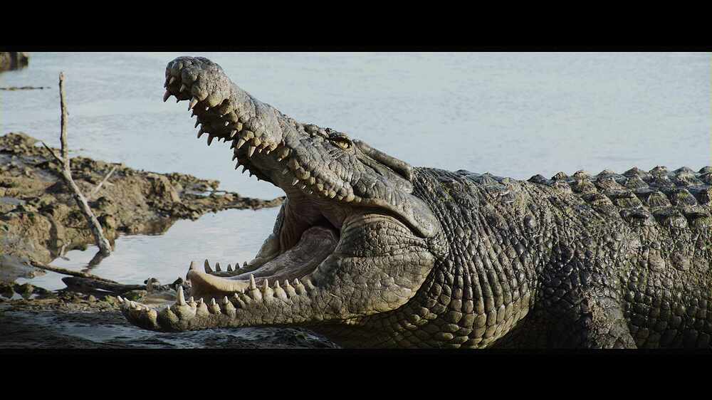 charCrocodile_poseenv_0009
