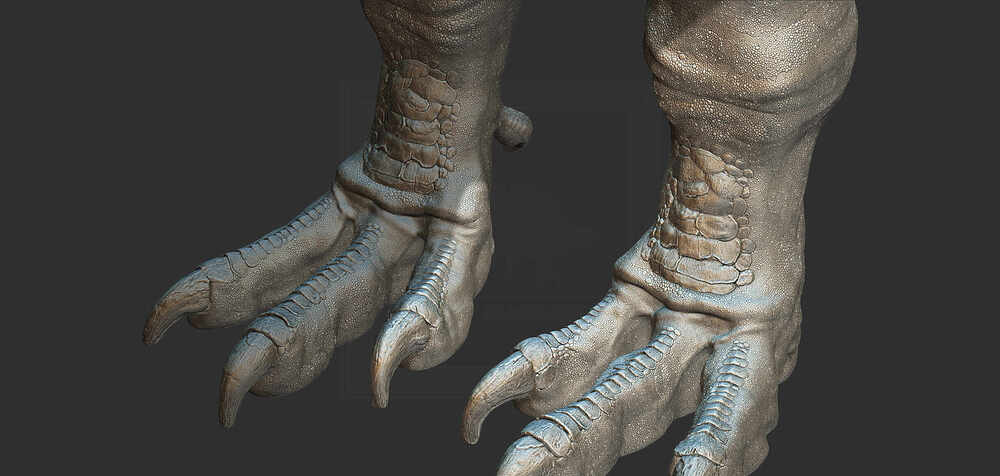 ZBrush Document8