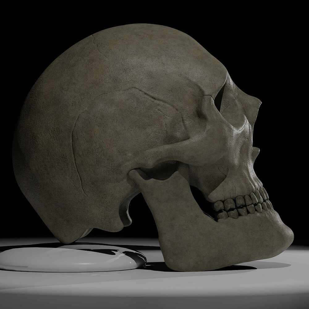skull_new_3