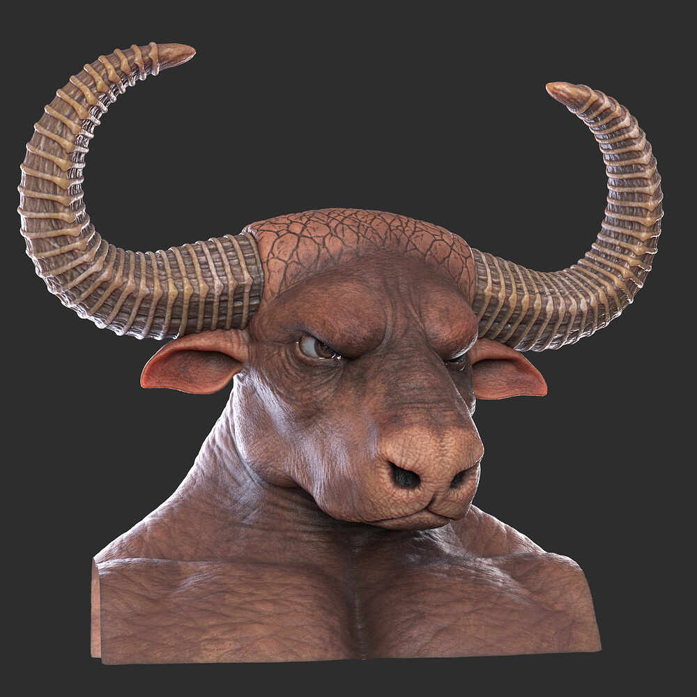 Bison_26