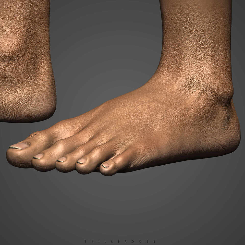 BPR_Render07