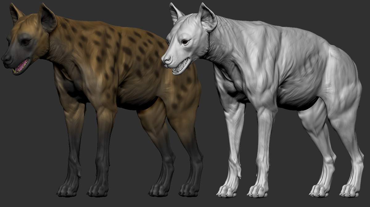 Hyena_09