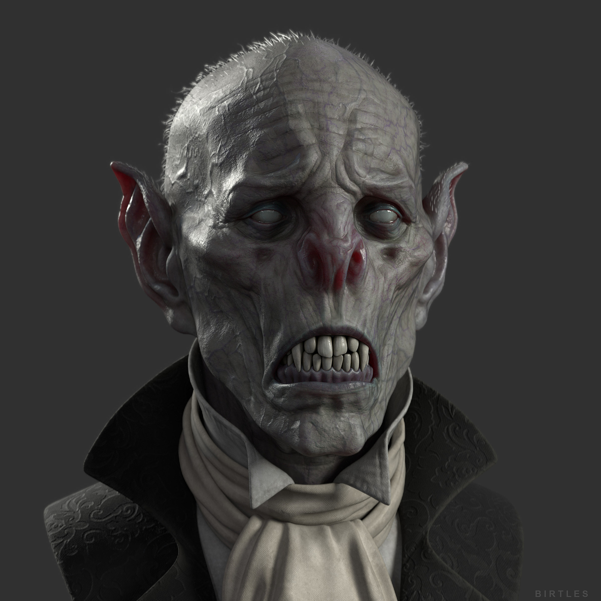 Birtles_Cushvamp_Closeup