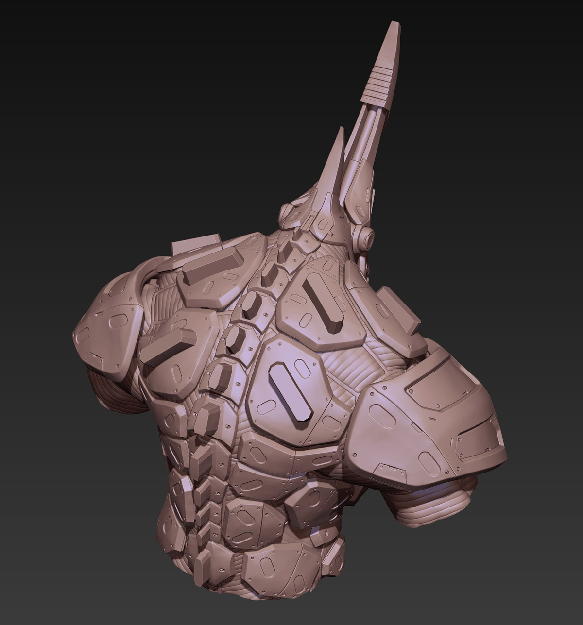 rhino_high_08