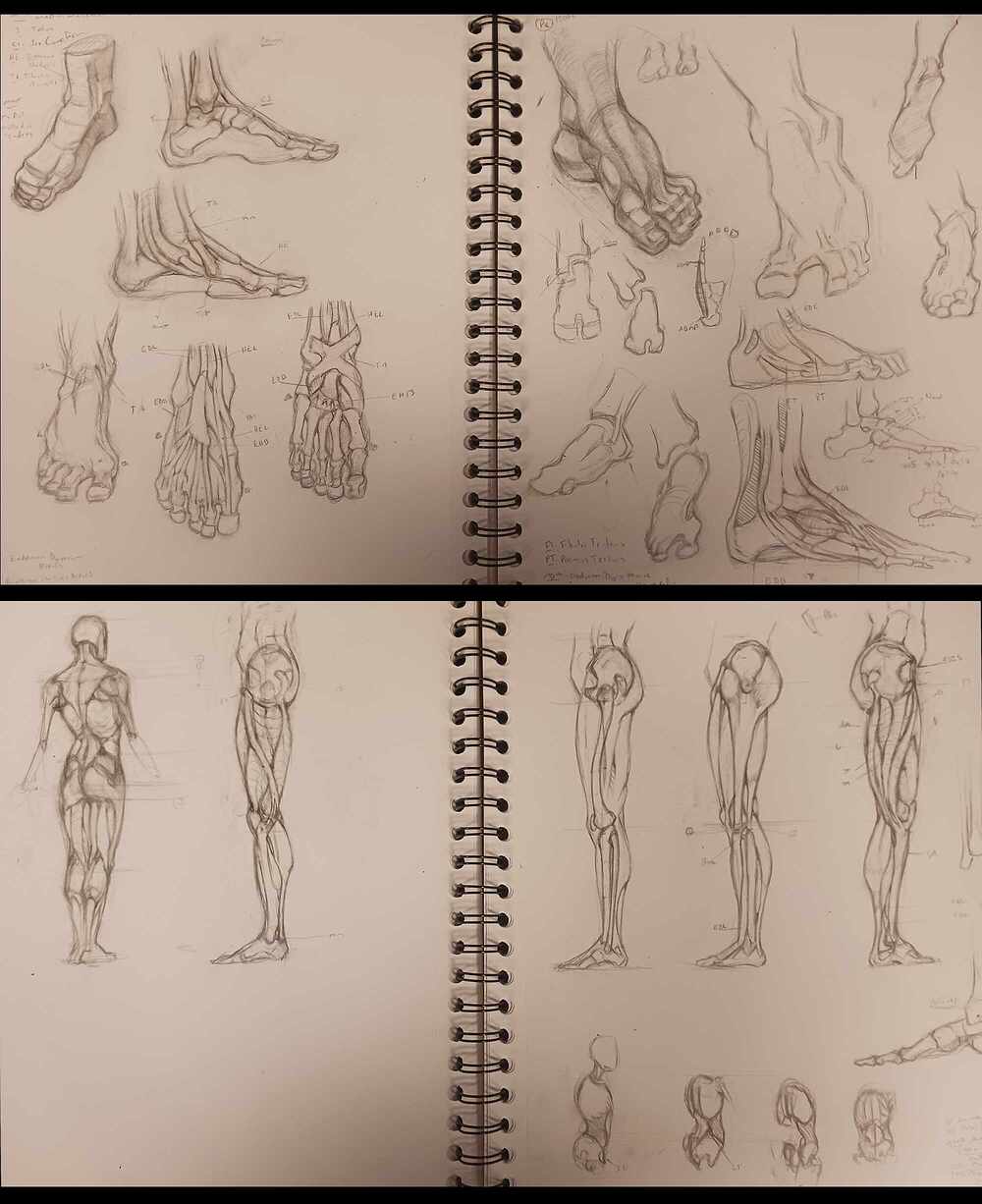 Achilles_Sketchbook_MMilano_P307