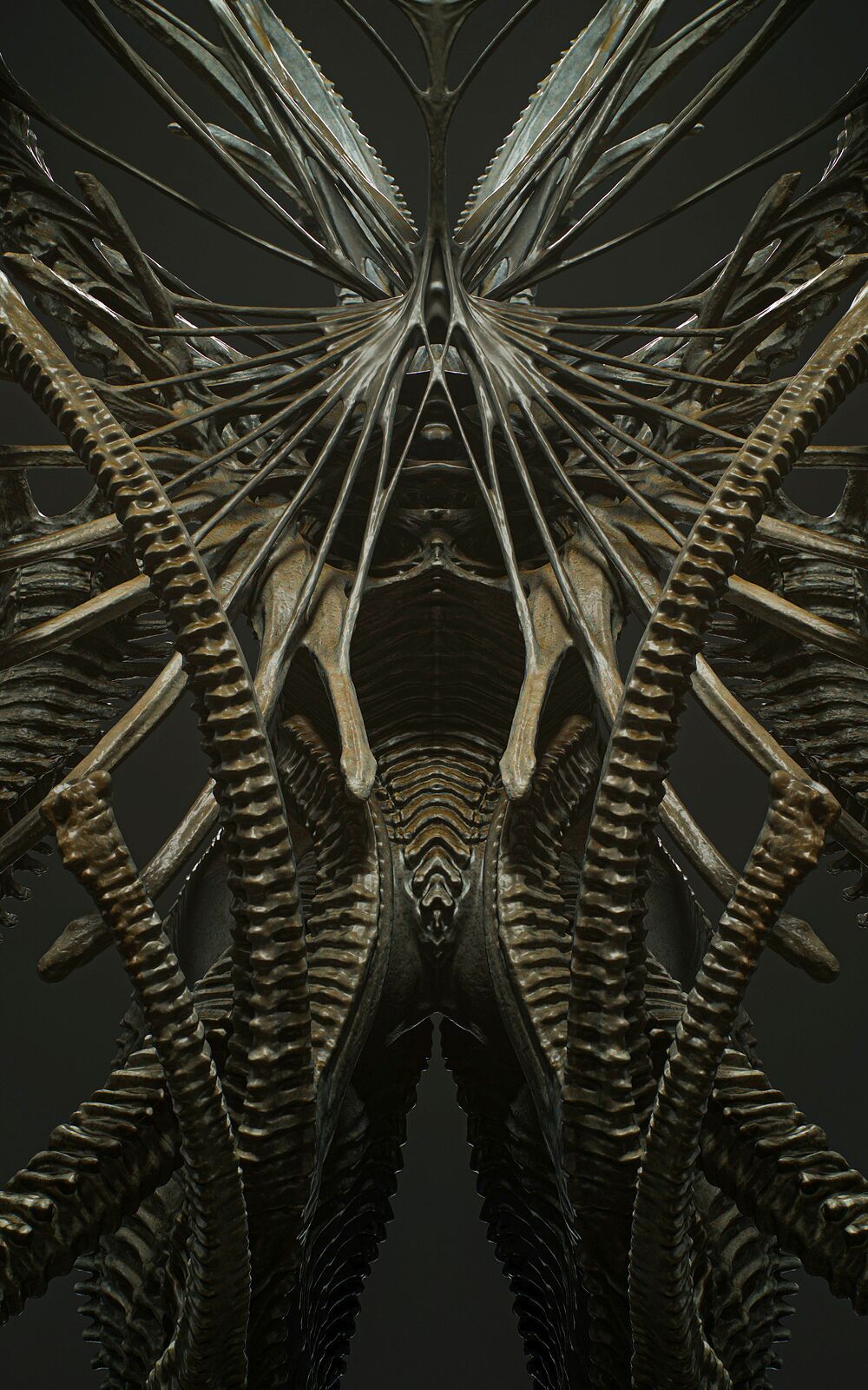 Partially2_Cold_Symmetry_008