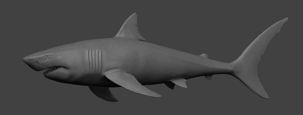 shark-sculpt-side