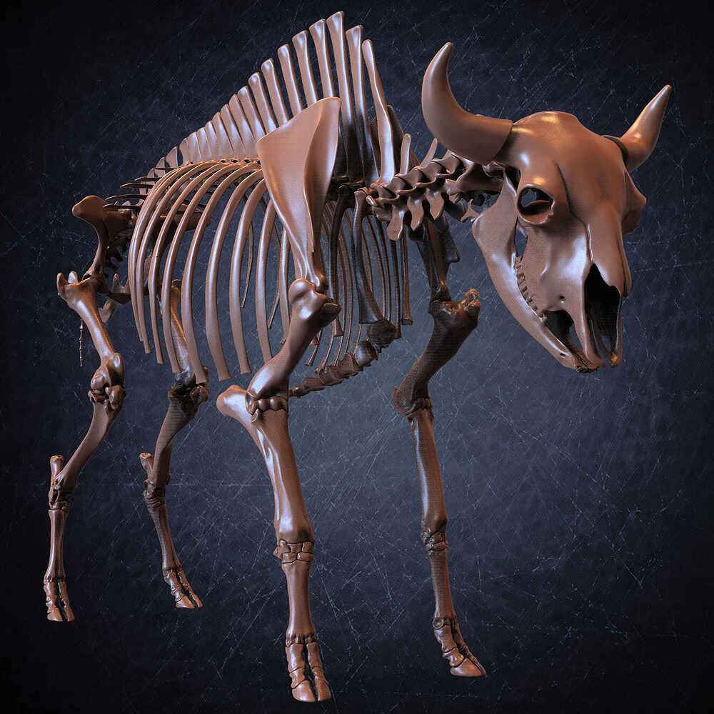 Modern Bison Skeleton 3D Model Sculpted by Yacine BRINIS Set 040