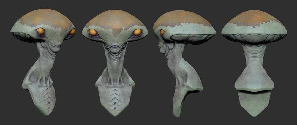 ZBrush Document
