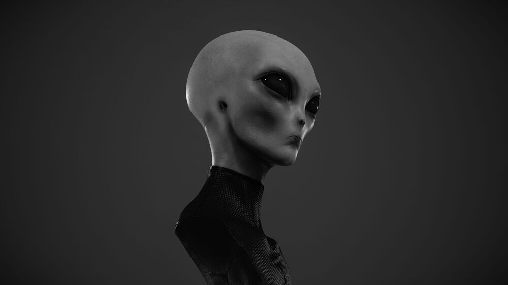 Diseño sin título (4)