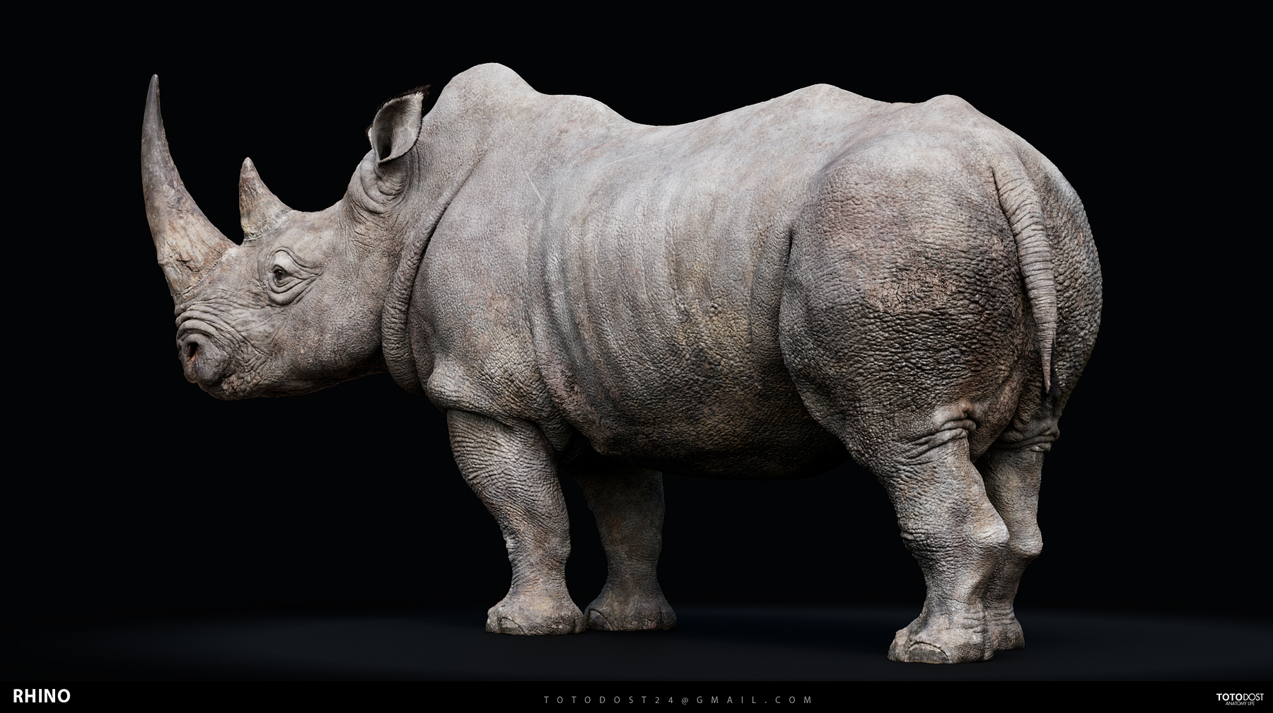 open zbrush file in rhino for mac open zbrush file in rhino for mac