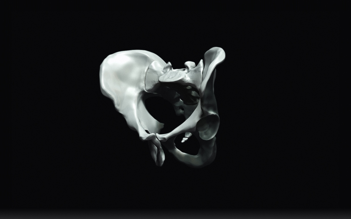 Pelvis1