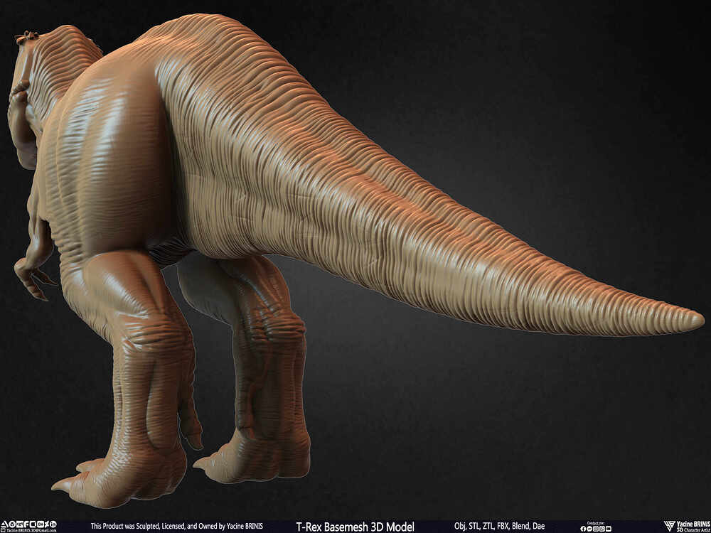 T-Rex Basemesh 3D Model (Tyrannosaurus Rex) Sculpted By Yacine BRINIS Set 011