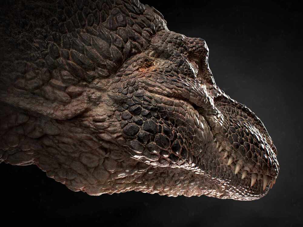TyranodilusPorosus_Render_v0006