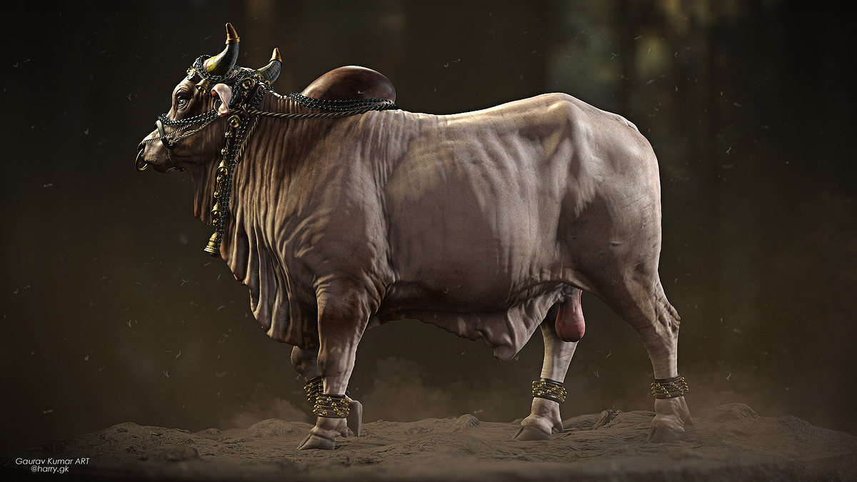Bull_000