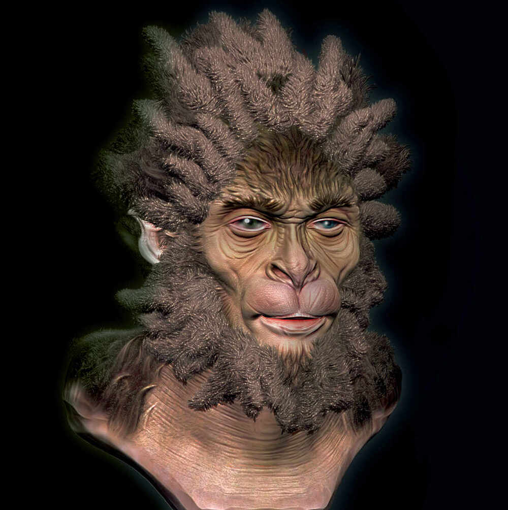 new waner face002