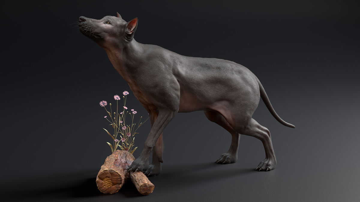 Flower_wolf_01