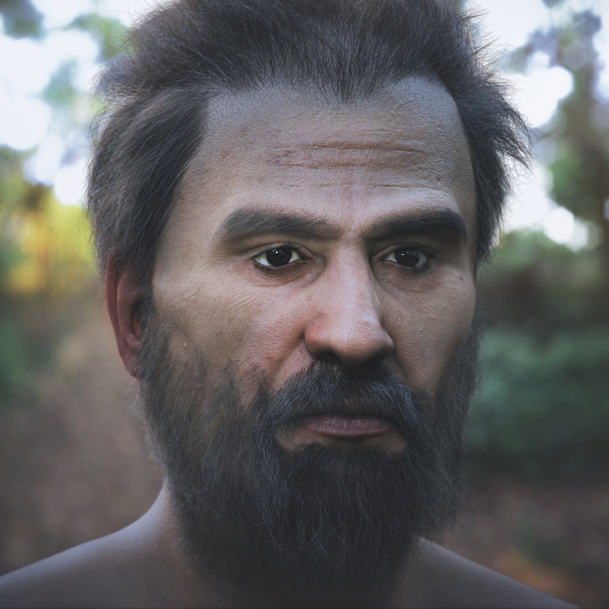 6-Human
