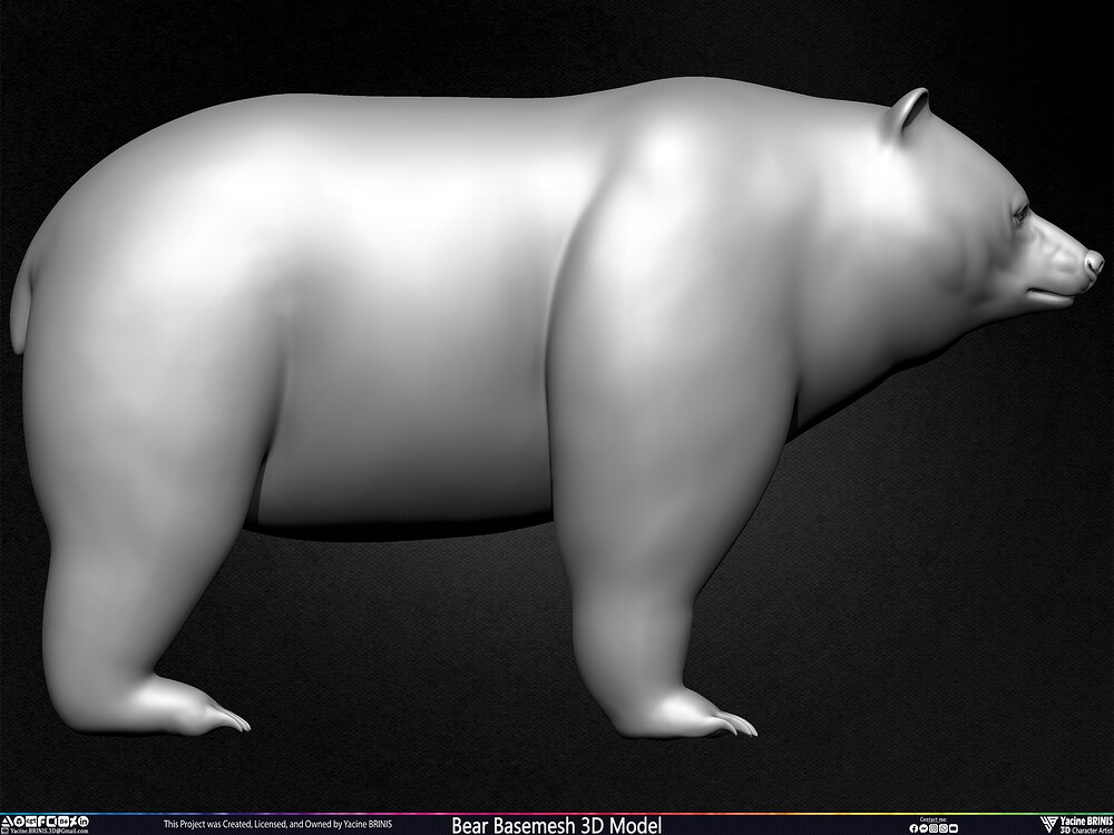 Bear Basemesh 3D Model Sculpted by Yacine BRINIS Set 001