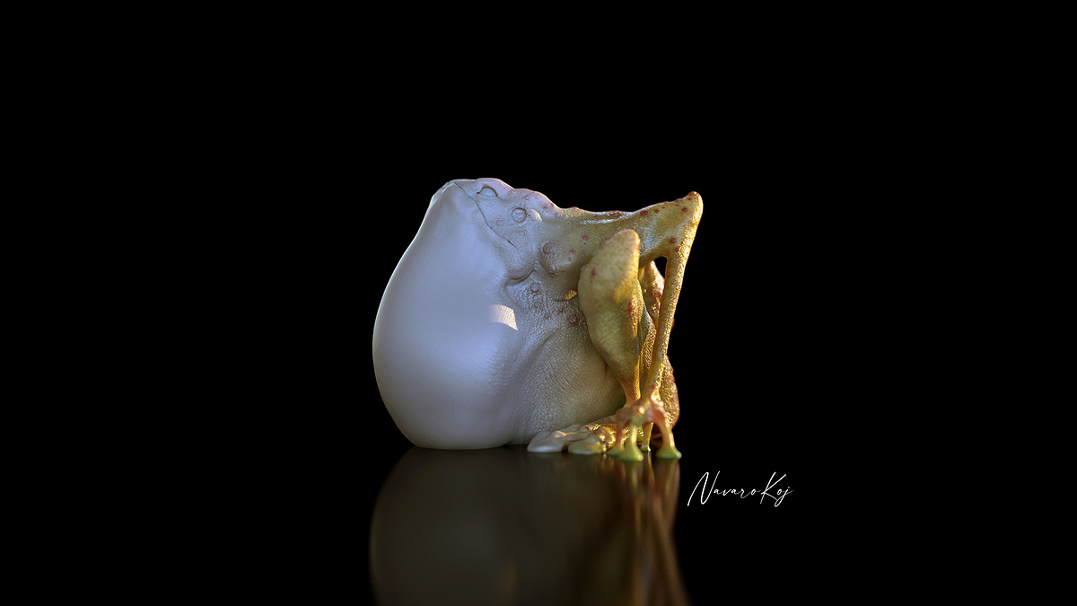 frog_main_Mix2