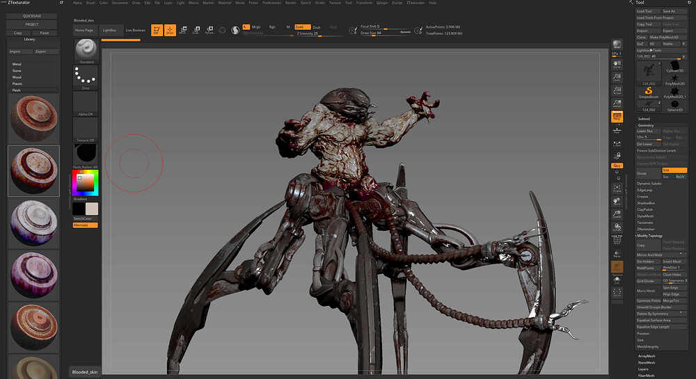 Viewport