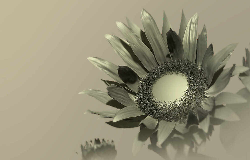 ZBrush ScreenGrab01
