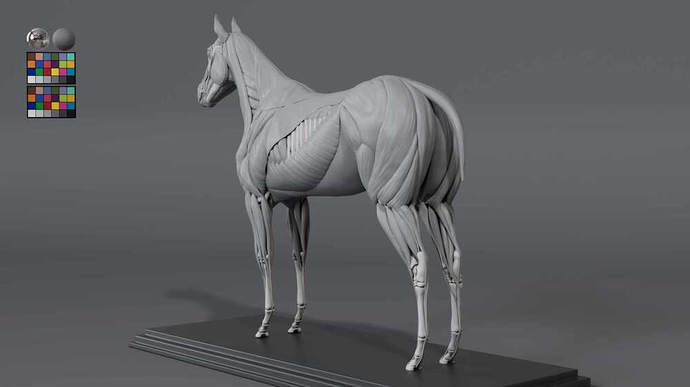 Horse_03