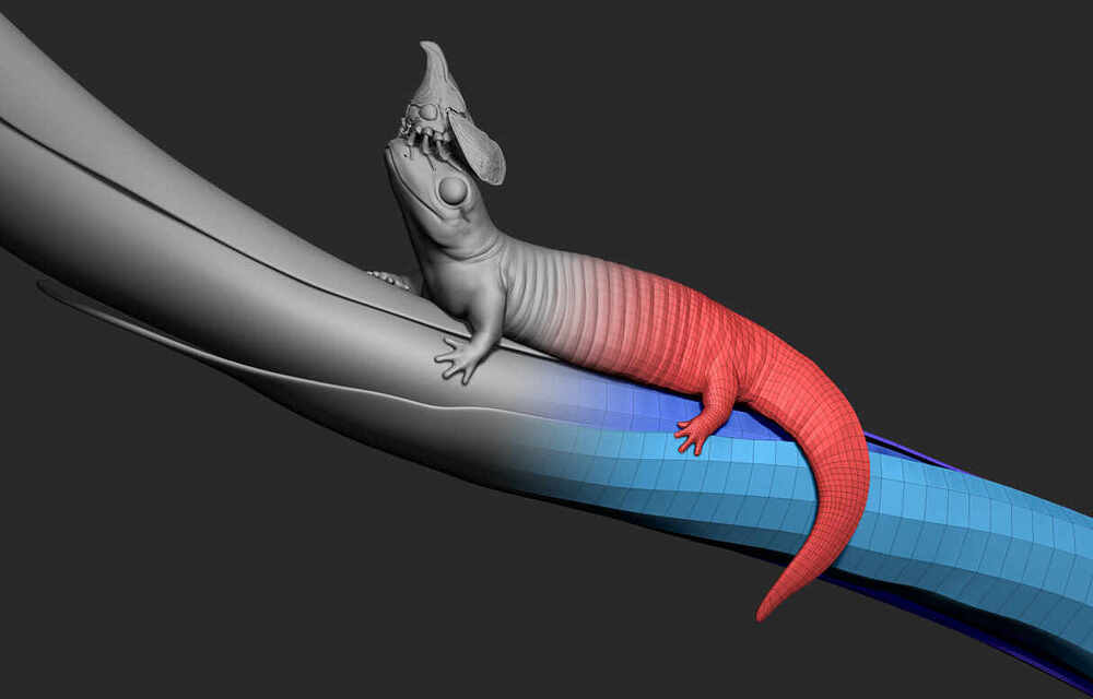 zbrushskink