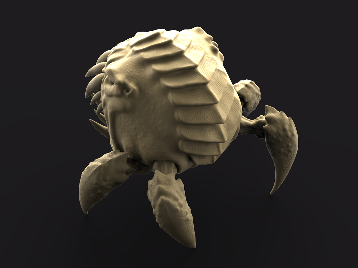 4_Orbie_New_Top1_crop