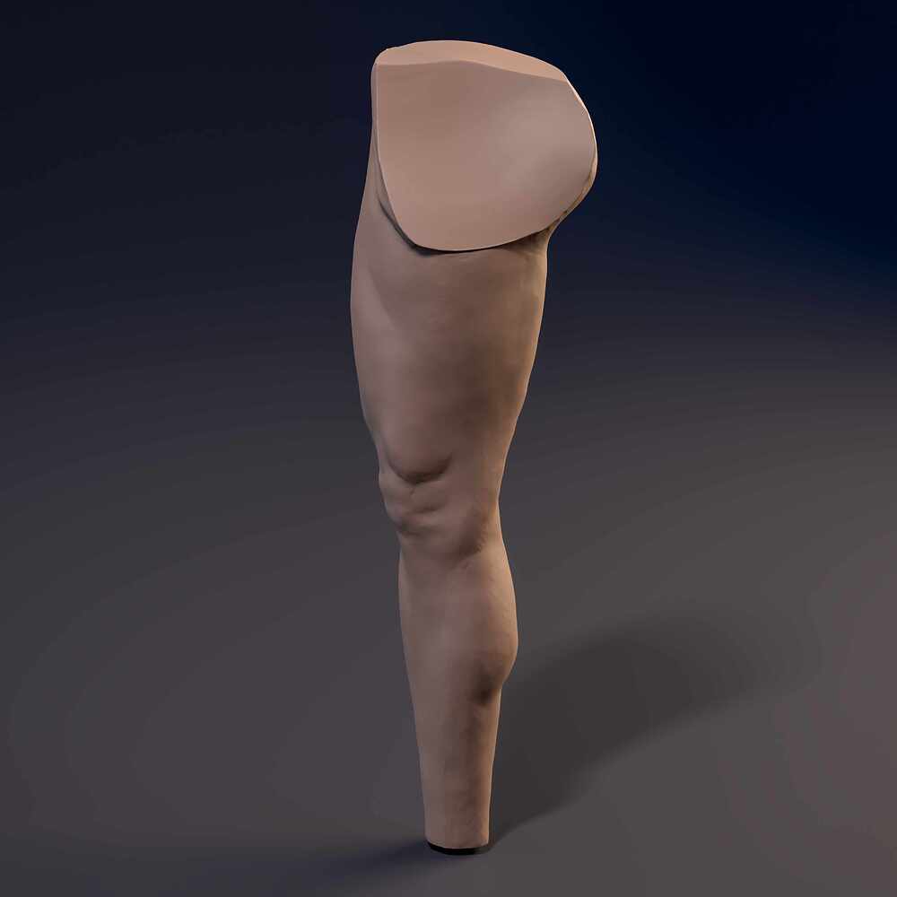 Leg_Straith_Cam_04