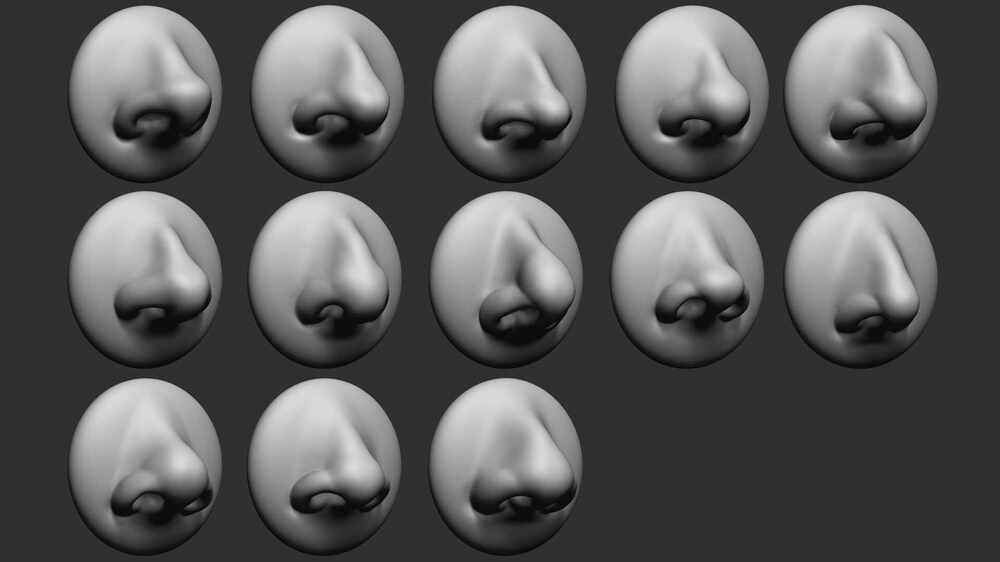 VDM_noses