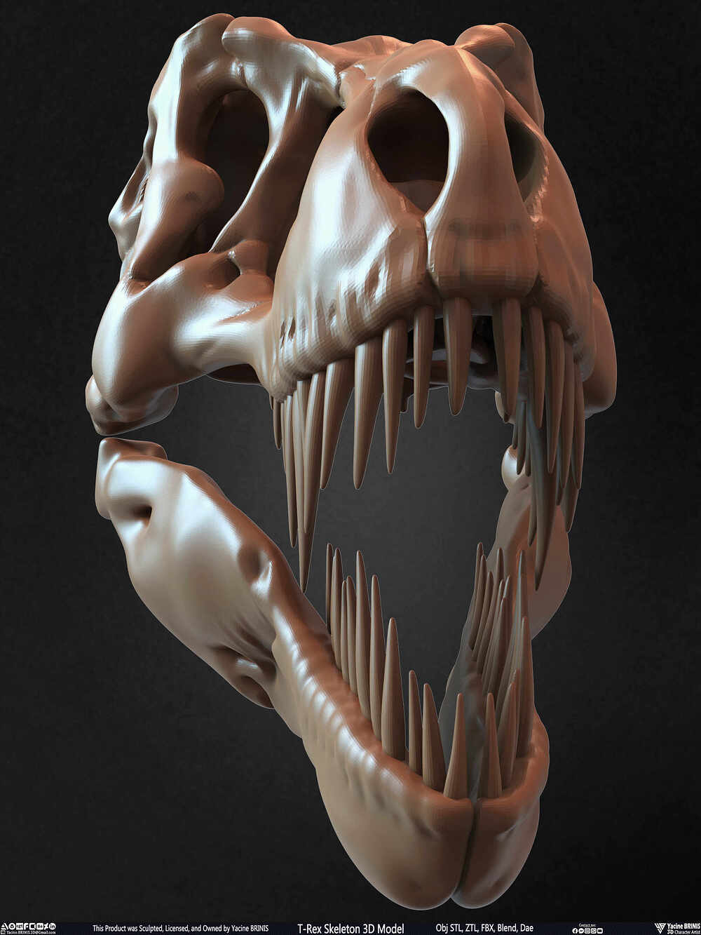 T-Rex Skeleton 3D Model (Tyrannosaurus Rex) Sculpted By Yacine BRINIS Set 027