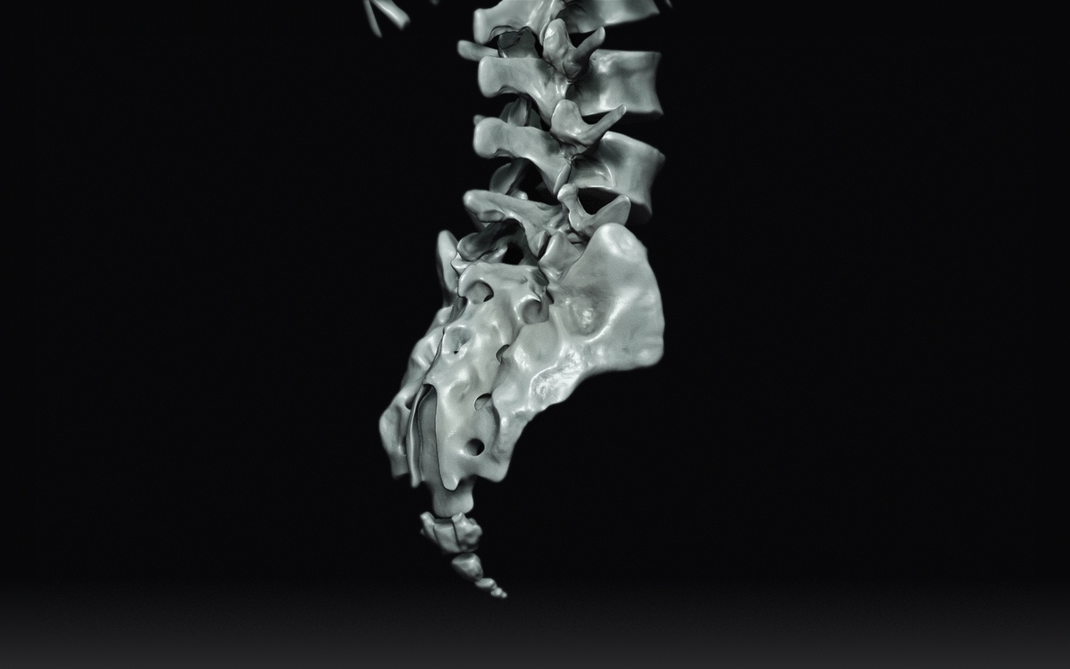Sacrum6