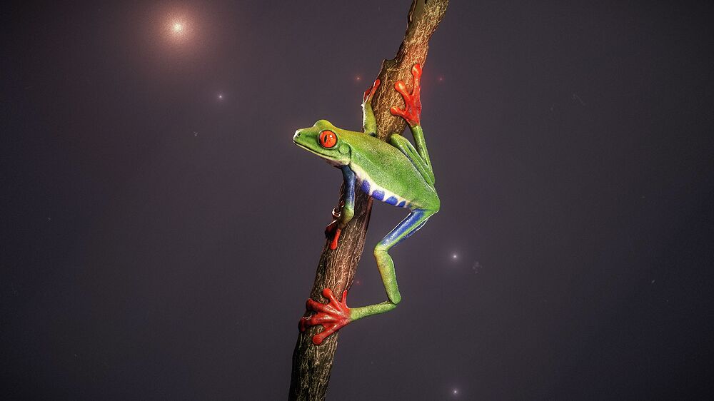 Diseño sin título (4)