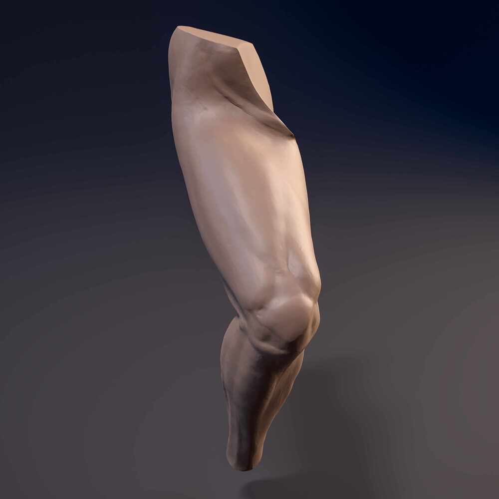 Leg_Bend_Cam_07