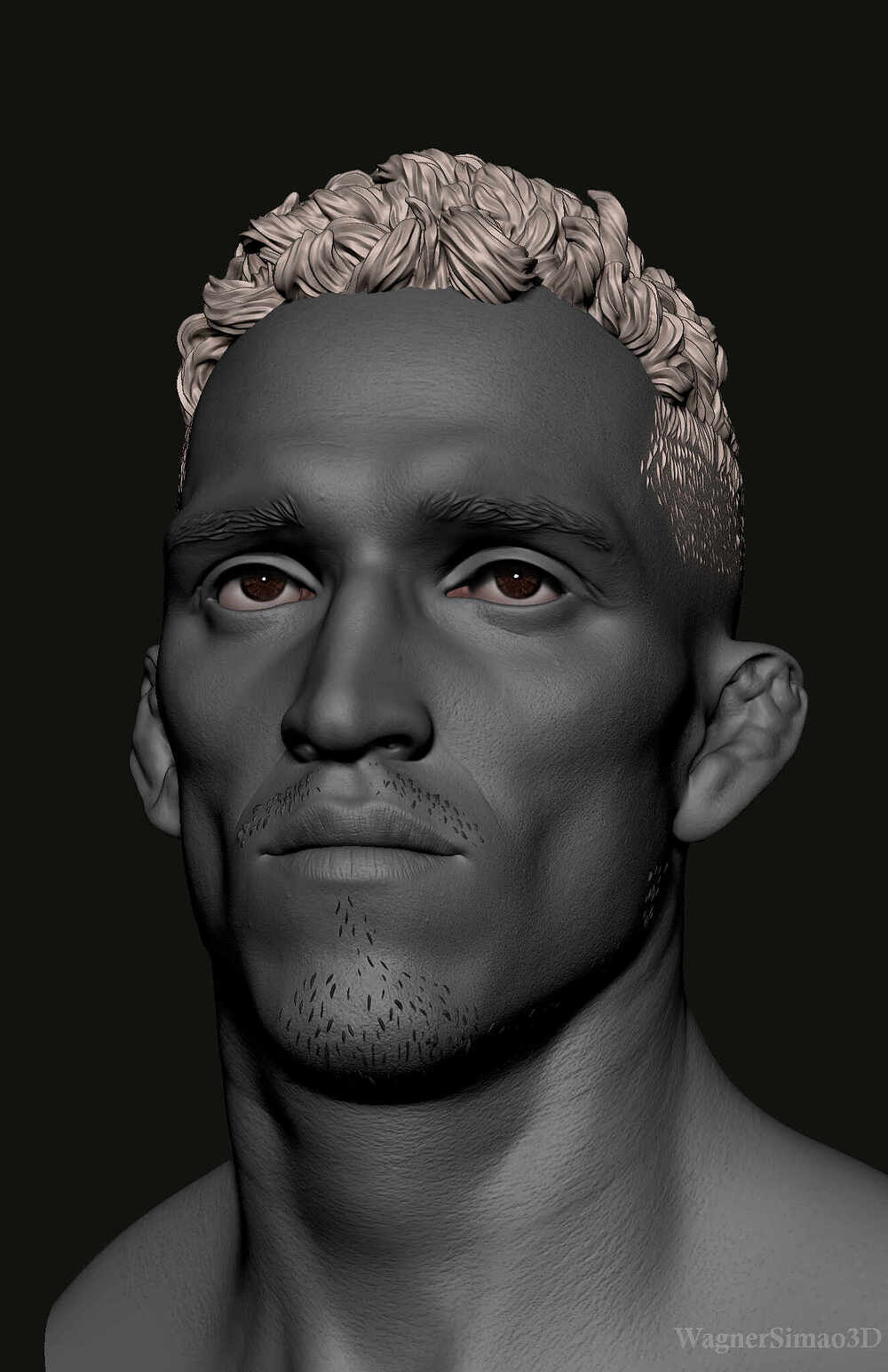 WagnerSimao3D-CharlesdoBronx2