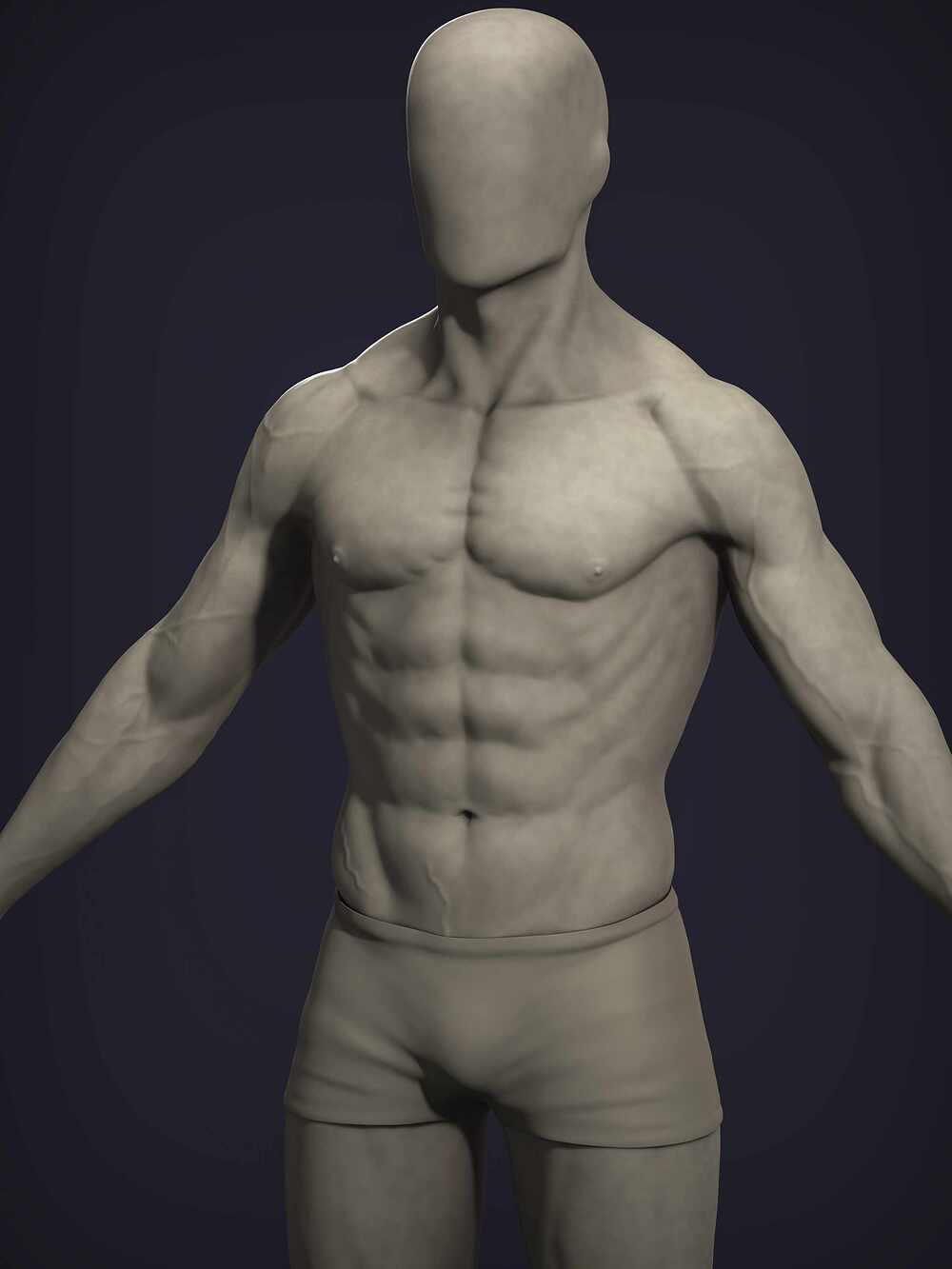 anatomy05