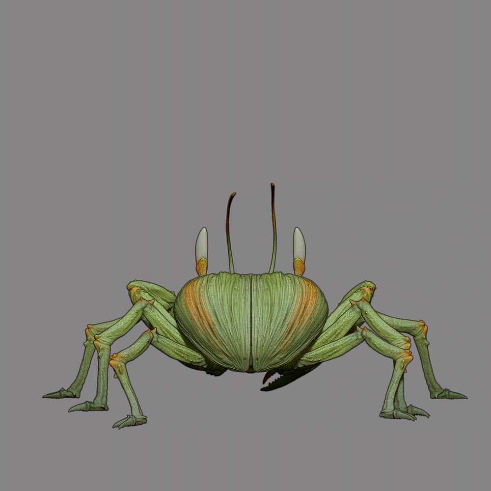 Scraab_Toon_02b