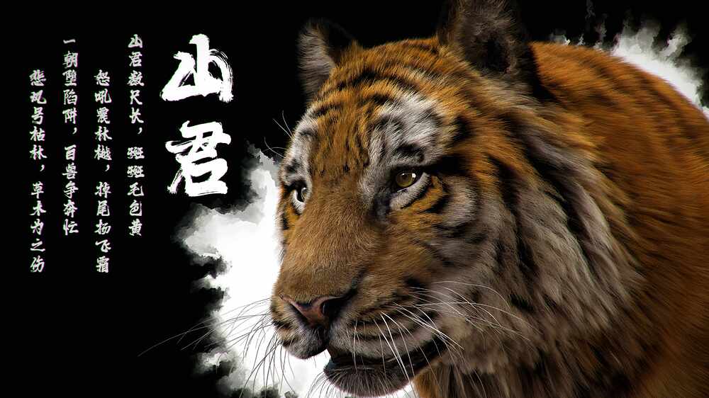 tiger06_PS