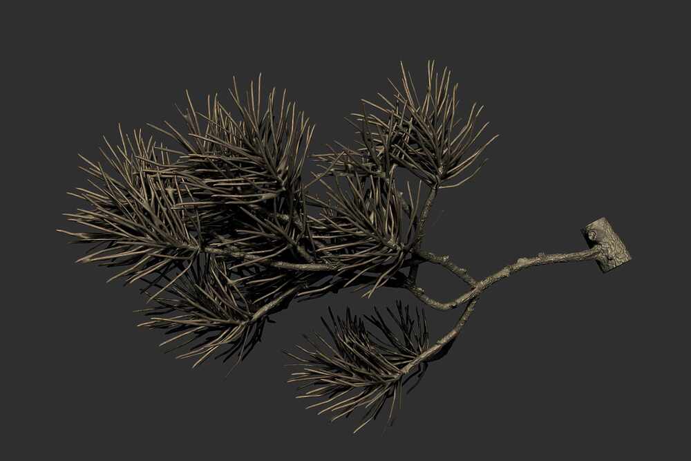 Branc04