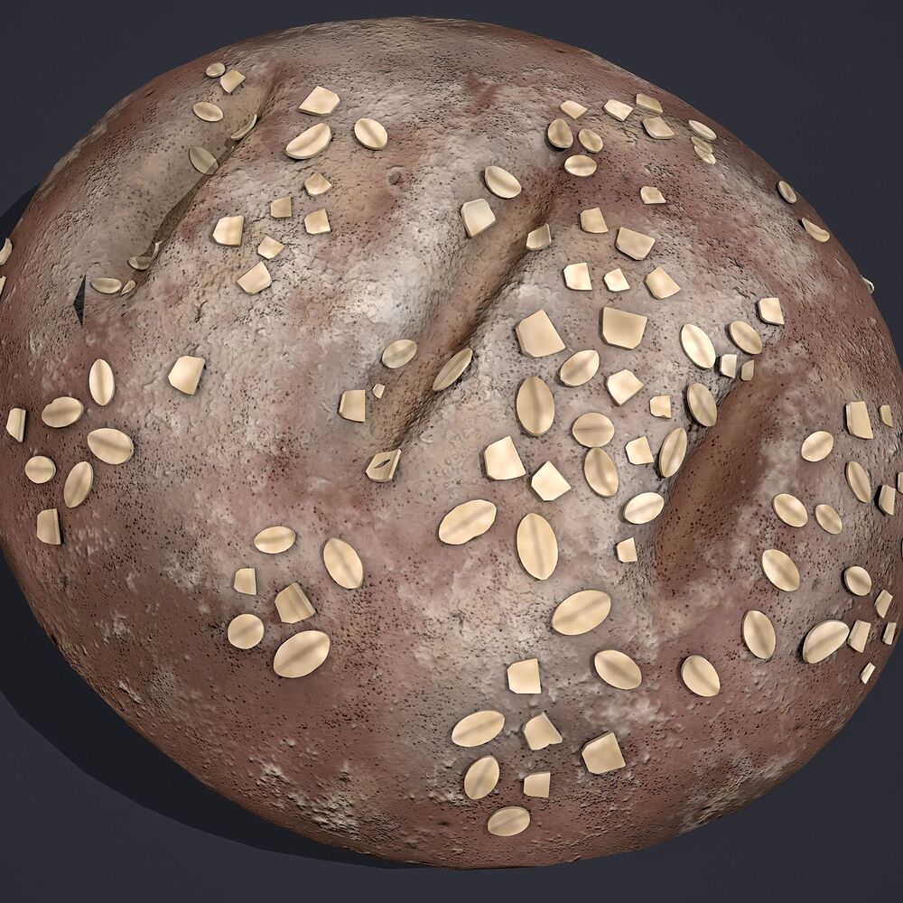 medieval-style-oat-covered-stone-baked-bread-3d-model-low-poly-obj-fbx (11)
