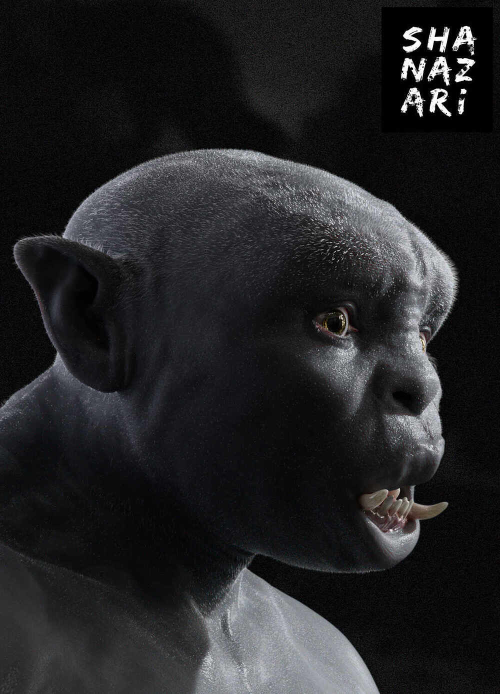 side_clay