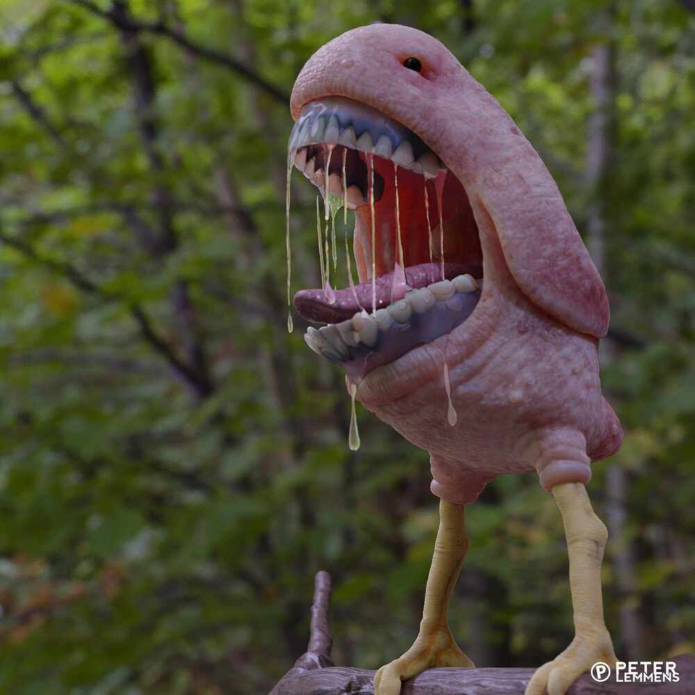 bigmouthbird hdri2