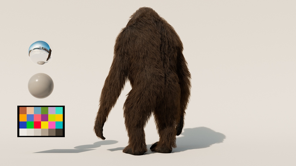 USANDIZAGA_Martin_AnimalBack