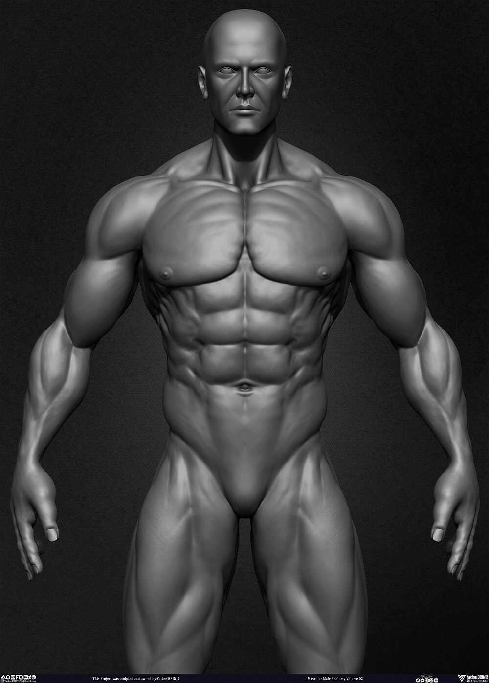 Muscular Male Anatomy Volume 2 3D Character sculpted by Yacine BRINIS 013