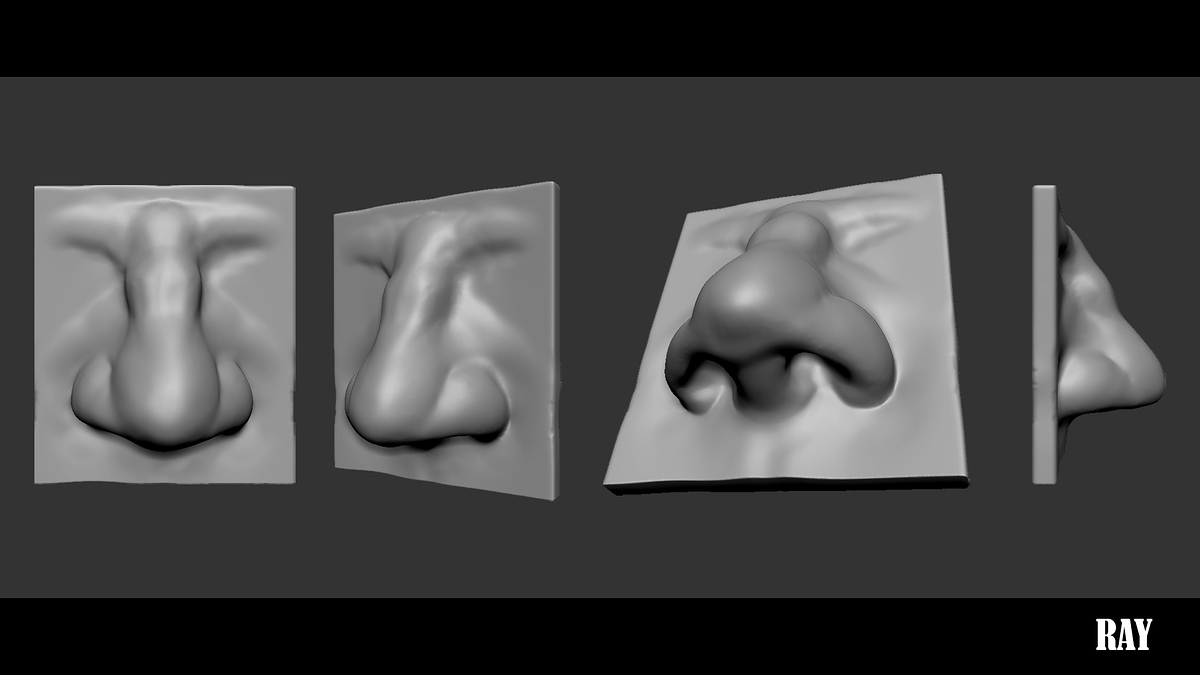 Nose