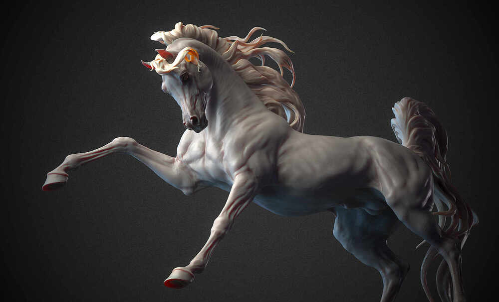 003001_Main-Camera_2