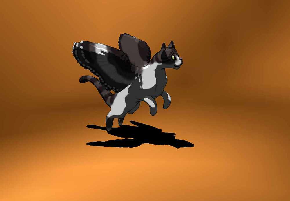 Winged Cat